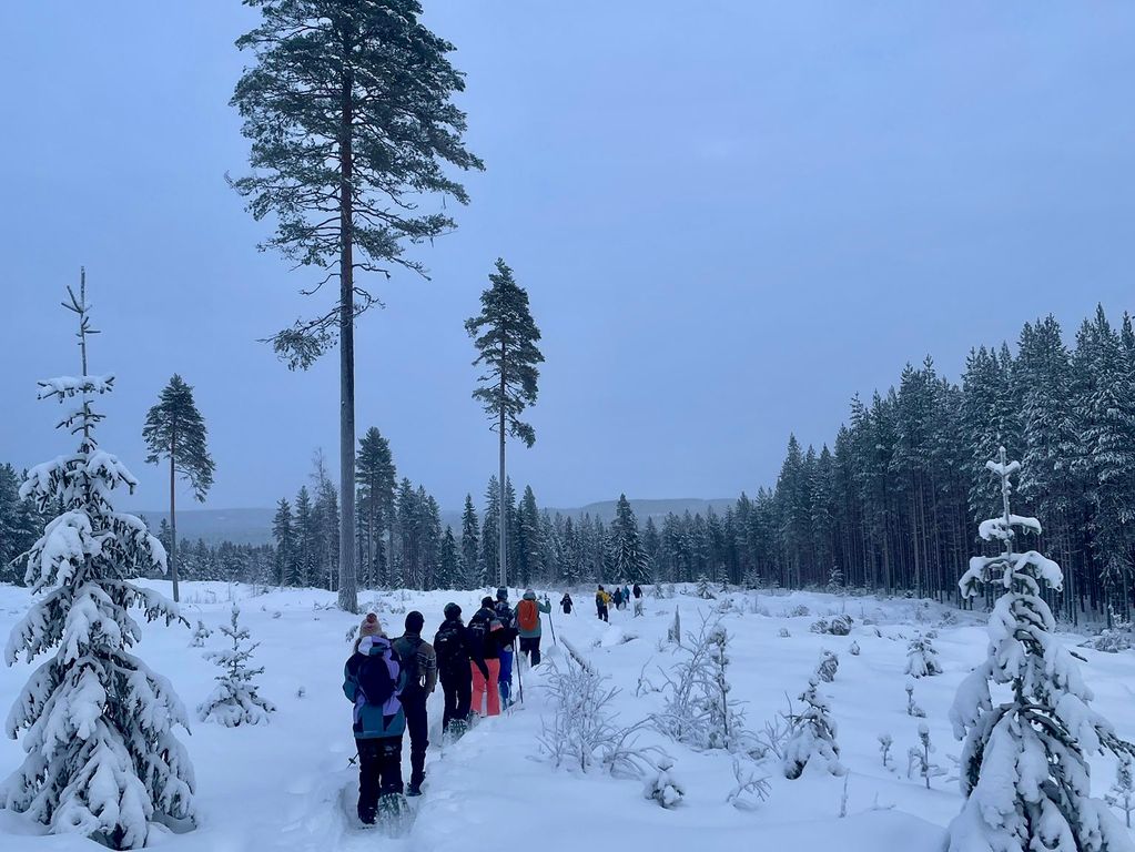 Sneeuwschoenentocht Zweden